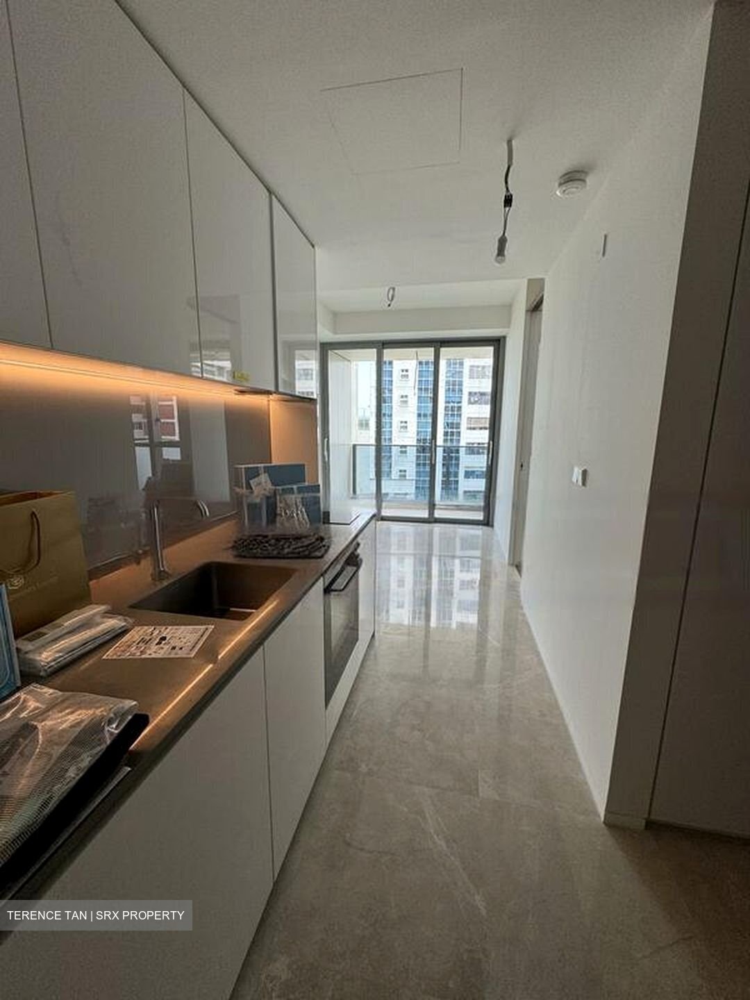 Amber Park (D15), Condominium #457686871